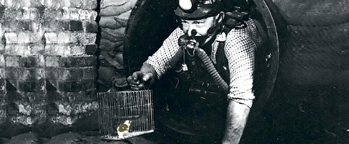 Canary Release dengan Traefik berbasis pembobotan round robin hingga mirroring traffic /canary-deployment-dan-mirroring-dengan-traefik/cover.jpg