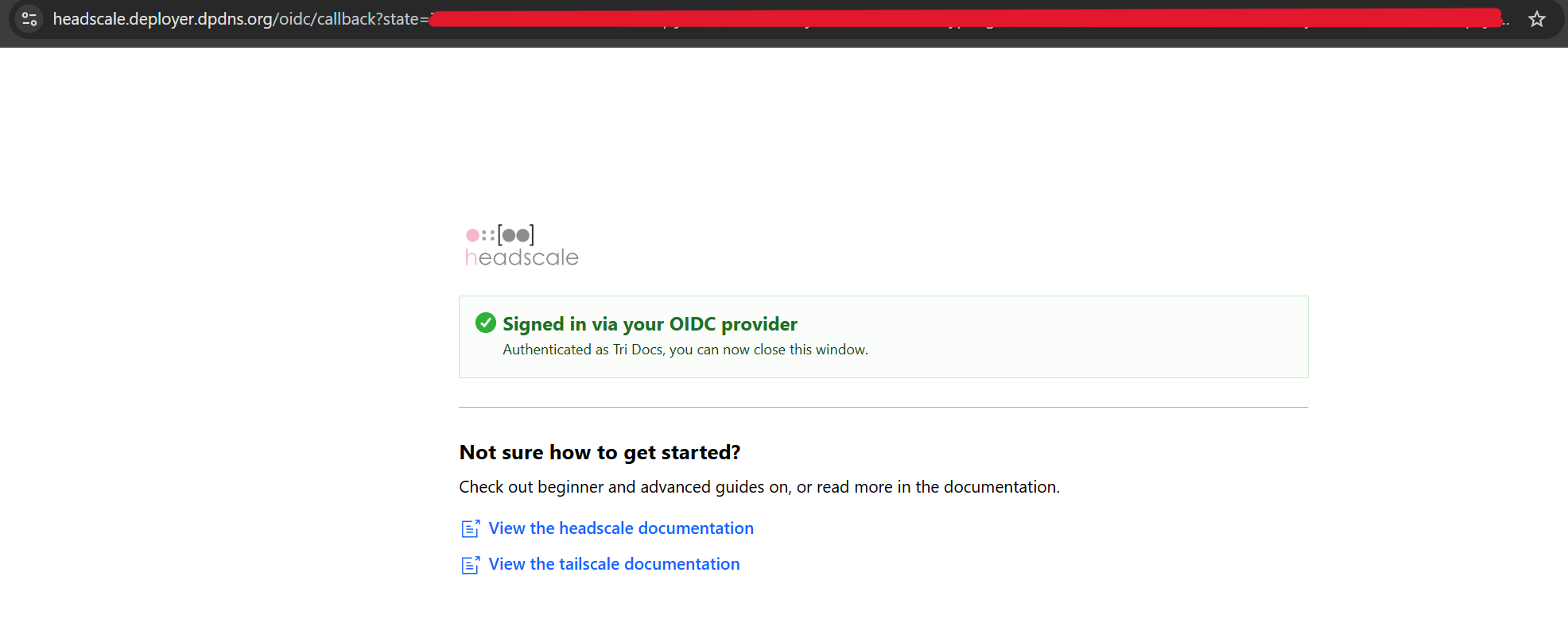 /headscale-self-hosted-alternatif-tailscale/headscale-google-oidc-login-success.png
